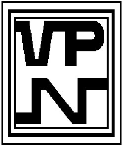 Logo VPN
